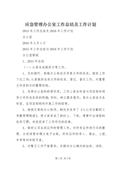 应急管理办公室工作总结及工作计划 (2).docx