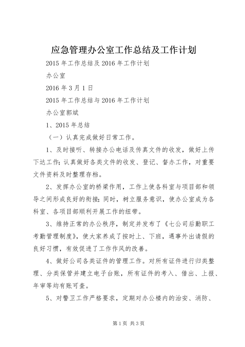 应急管理办公室工作总结及工作计划 (2).docx