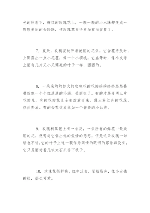 描写玫瑰花的唯美经典句子.docx