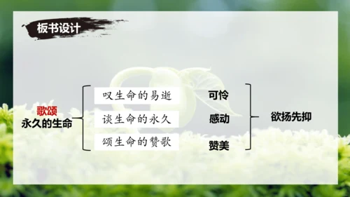 第16课 散文二篇 《永久的生命》课件