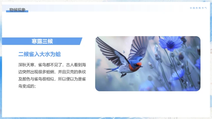 中国传统二十四节气寒露节气介绍寒露节气科普PPT