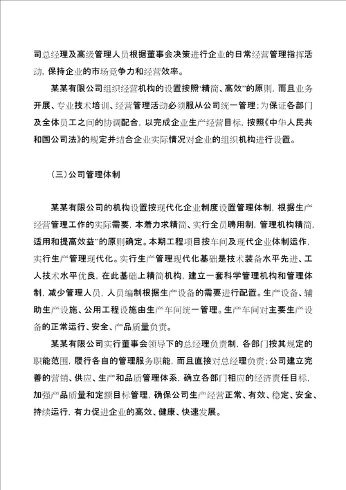 高氯酸投资项目经营分析报告