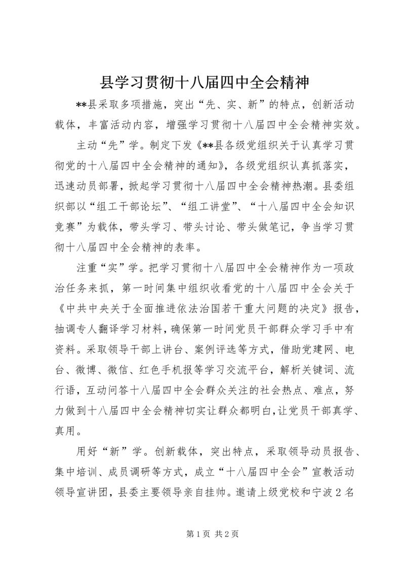 县学习贯彻十八届四中全会精神.docx