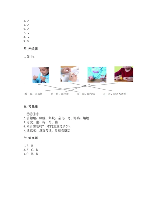 教科版一年级下册科学期末测试卷精品【必刷】.docx