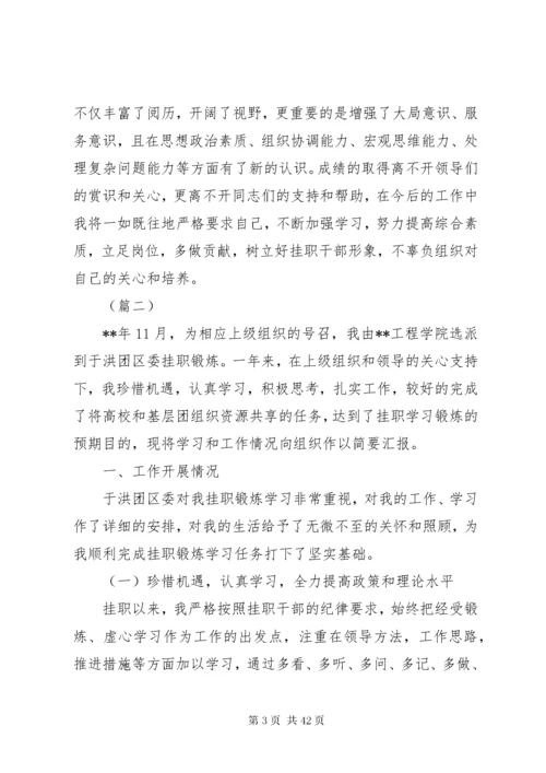 挂职锻炼个人总结（10篇）.docx