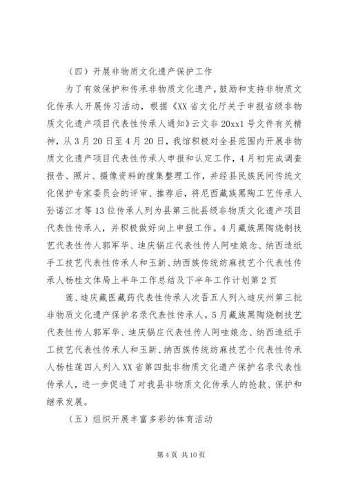 文体局上半年工作总结及下半年工作计划 (2).docx