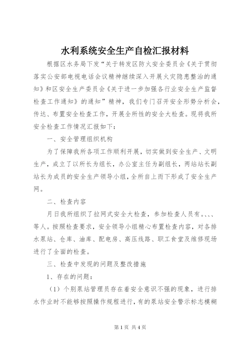 水利系统安全生产自检汇报材料.docx