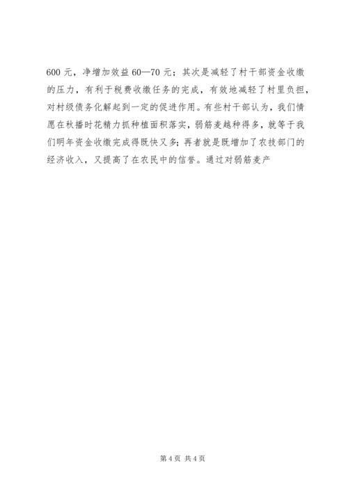 发展弱筋麦产业促进农业增收增效 (4).docx