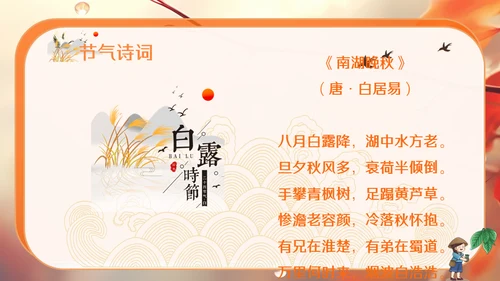 秋色白露节气，秋意浓通用PPT模板