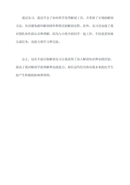 羊前后肢解剖实习报告