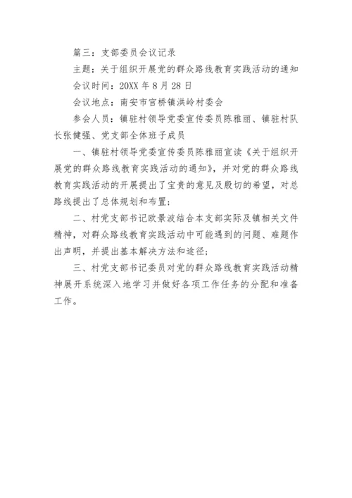 支部委员会议记录.docx