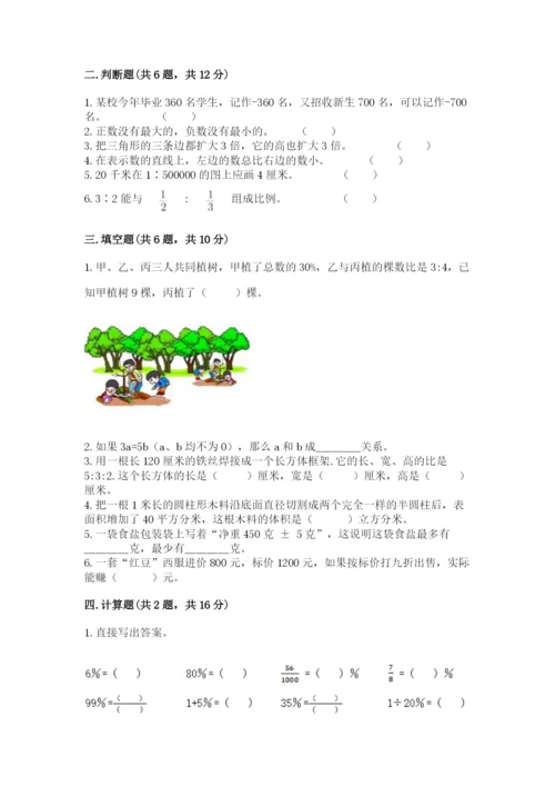 齐齐哈尔市龙江县六年级下册数学期末测试卷完美版.docx