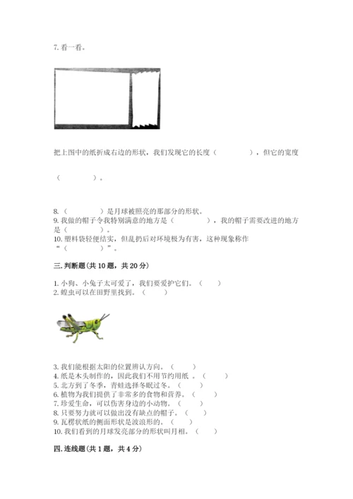 教科版二年级上册科学期末测试卷及答案【最新】.docx