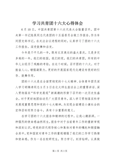 学习共青团十六大心得体会.docx