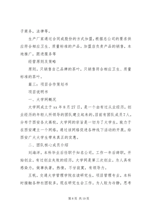 企业项目策划书.docx