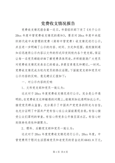 党费收支情况报告.docx