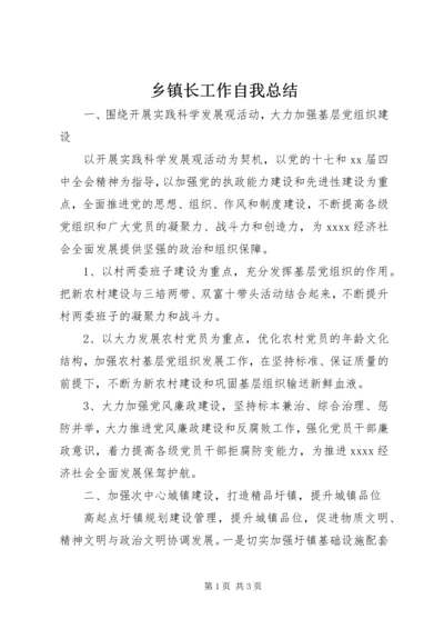 乡镇长工作自我总结.docx