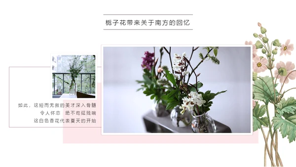 清醒纪植物绘小清新文艺女青年通用PPT模板