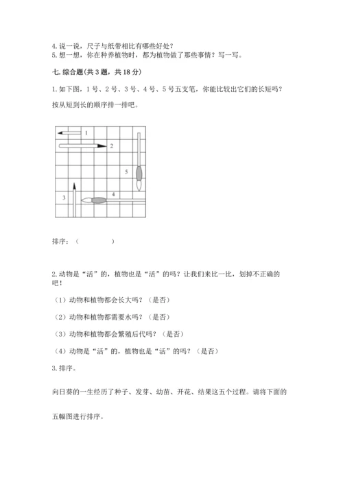 教科版一年级上册科学期末测试卷附答案（实用）.docx