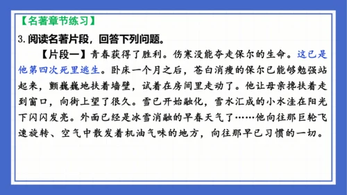 名著导读《钢铁是怎样炼成的》复习课件-2023-2024学年统编版语文八年级下册(共63张PPT)