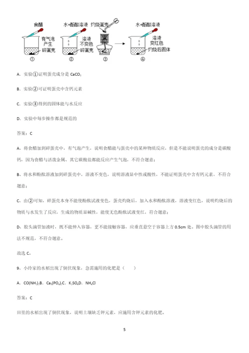 人教版2023初中化学九年级化学下册第十一单元盐化肥重点知识点大全.docx