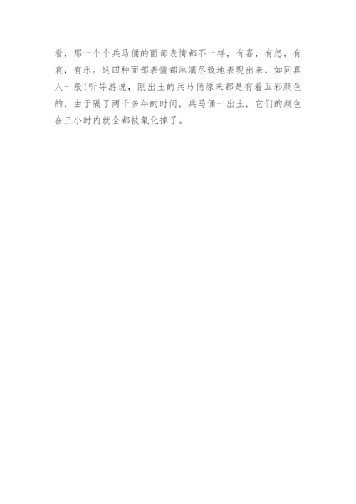 兵马俑的介绍作文.docx