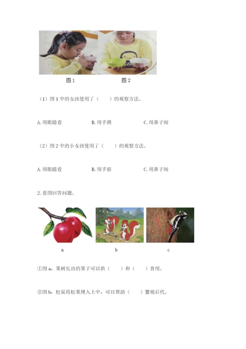 教科版科学二年级上册《期末测试卷》含答案（新）.docx