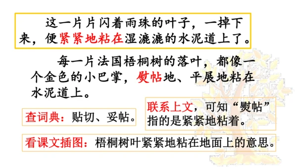 5 铺满金色巴掌的水泥道