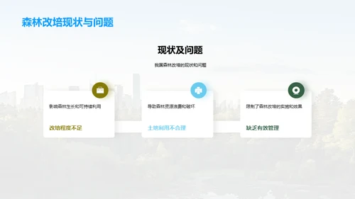森林改培：挽救绿肺