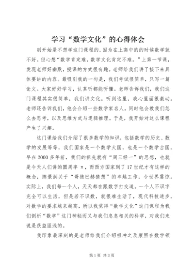 学习“数学文化”的心得体会 (2).docx