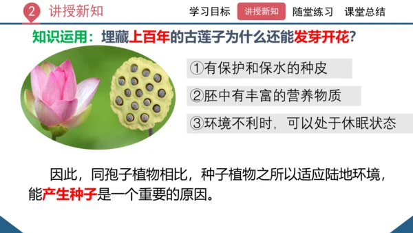 3.1.2  种子植物（课时1 种子的结构）课件-2023-2024学年人教版生物七年级上册(共24