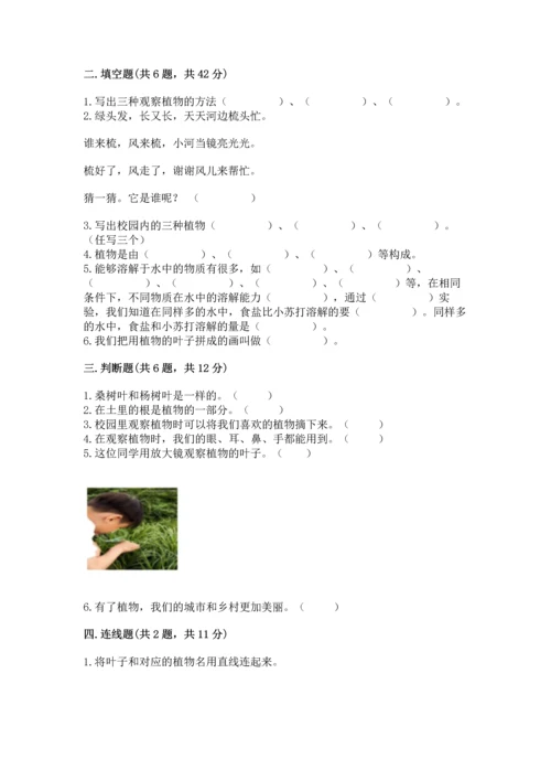教科版科学一年级上册第一单元《植物》测试卷精品（能力提升）.docx