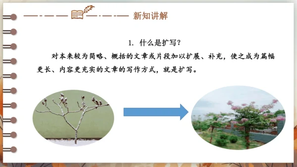 统编版语文九年级下册第一单元 写作 学习扩写 课件