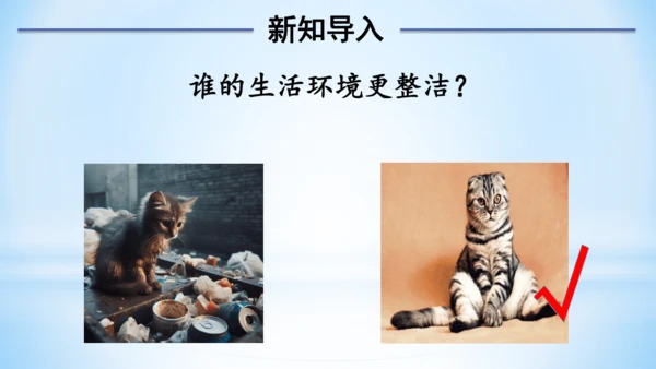 1 我们爱整洁(教学课件)-一年级下册道德与法治同步备课系列(人教版)