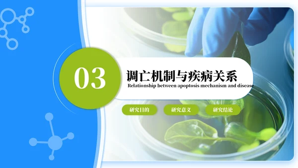 蓝绿色简约风生物学毕业答辩ppt模板