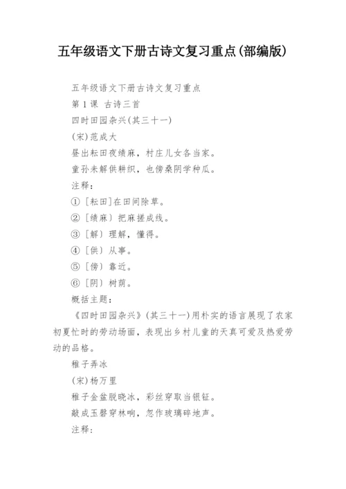 五年级语文下册古诗文复习重点(部编版).docx