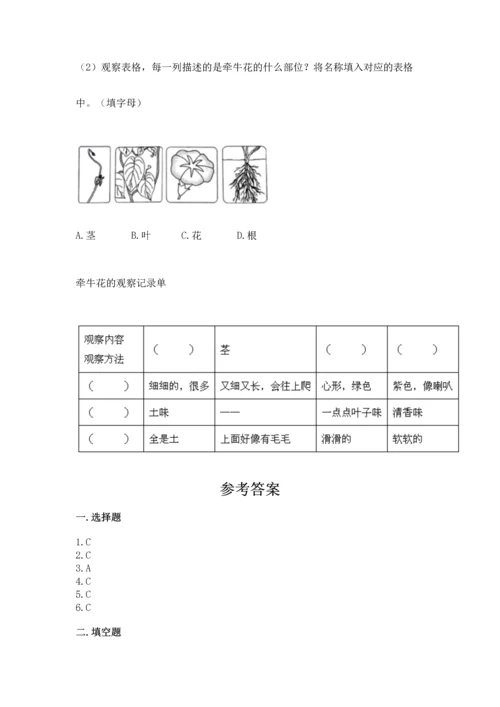 教科版科学一年级上册第一单元《植物》测试卷及参考答案（达标题）.docx