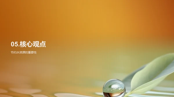水源管理：挑战与未来