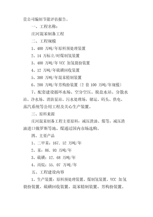 项目委托书格式