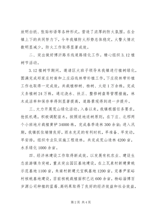 乡镇林业站年终工作总结.docx