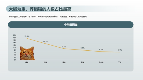 2023年喵经济洞察研究报告