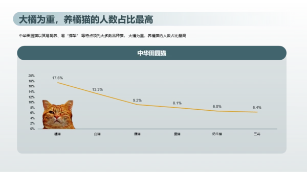 2023年喵经济洞察研究报告