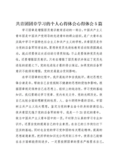 共青团团章学习的个人心得体会心得体会5篇