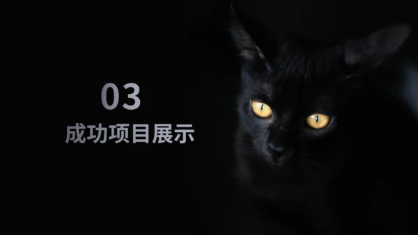 暗黑风格神秘黑猫黑暗风通用PPT模板
