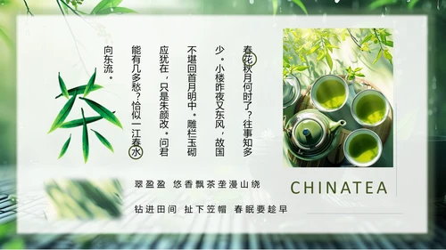春茶通用PPT模板