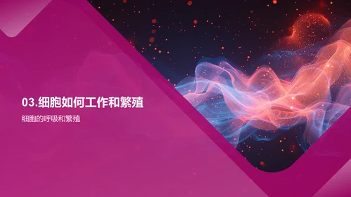 细胞知识讲解PPT模板