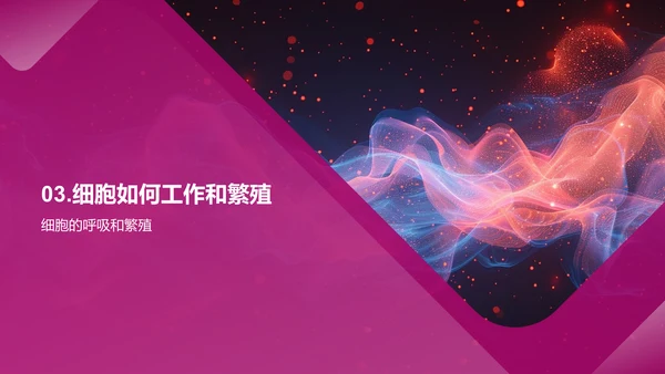 细胞知识讲解PPT模板