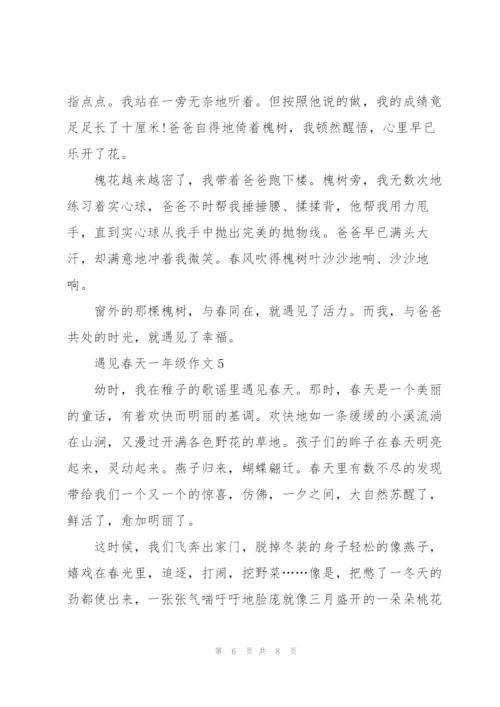 遇见春天一年级作文5篇.docx