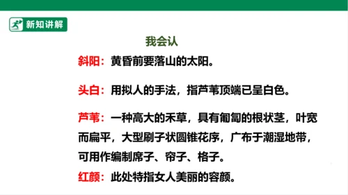 3.现代诗二首 秋晚的江上 课件