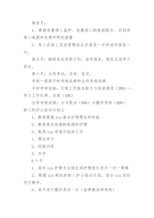 新入职护士培训计划.docx